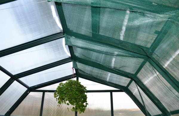 Reduziert Sonneneinstrahlung dadurch idealer Pflanzenschutz Maße: 240 x 260 cm (BxL)