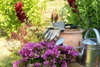 Gartenarbeit im Mai – hier gibt es viel zu tun