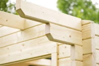 Schimmel im Gartenhaus vermeiden und entfernen