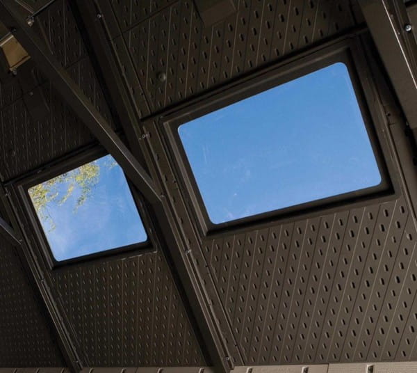 Kunststoff Gerätehaus King Size von Lifetime Dach