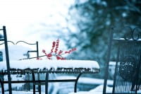 Gartenarbeit im Januar – das ist jetzt zu tun 