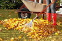 Garten im November – die besten Gartentipps für den Ziergarten