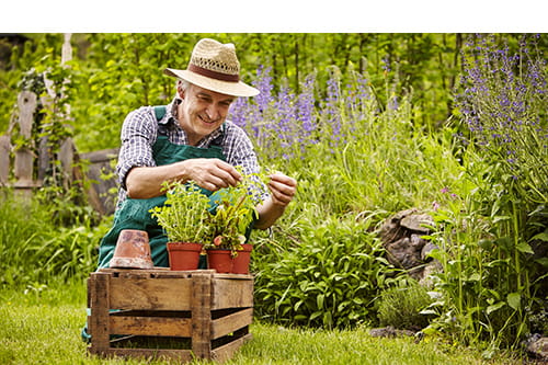 Gartenarbeiten
