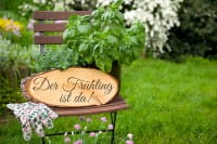 Gartenmonat März - was im Garten im März zu tun ist - Gartenkalender