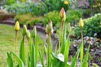 Gartenmonat April - was im Garten im April zu tun ist 